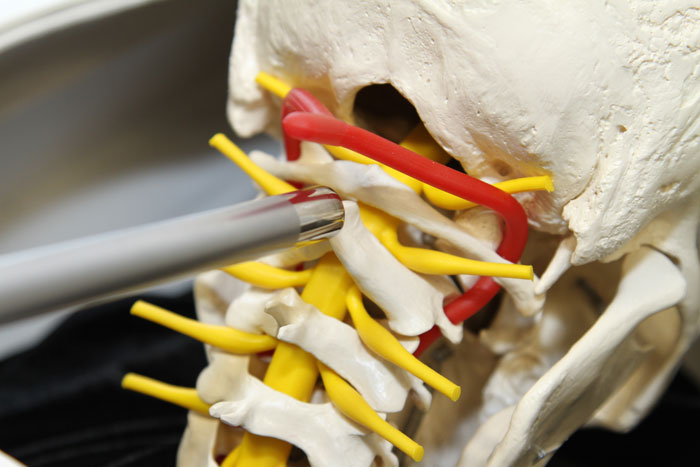 Fortschritt in der Medizin Fortschritt in der Medizin